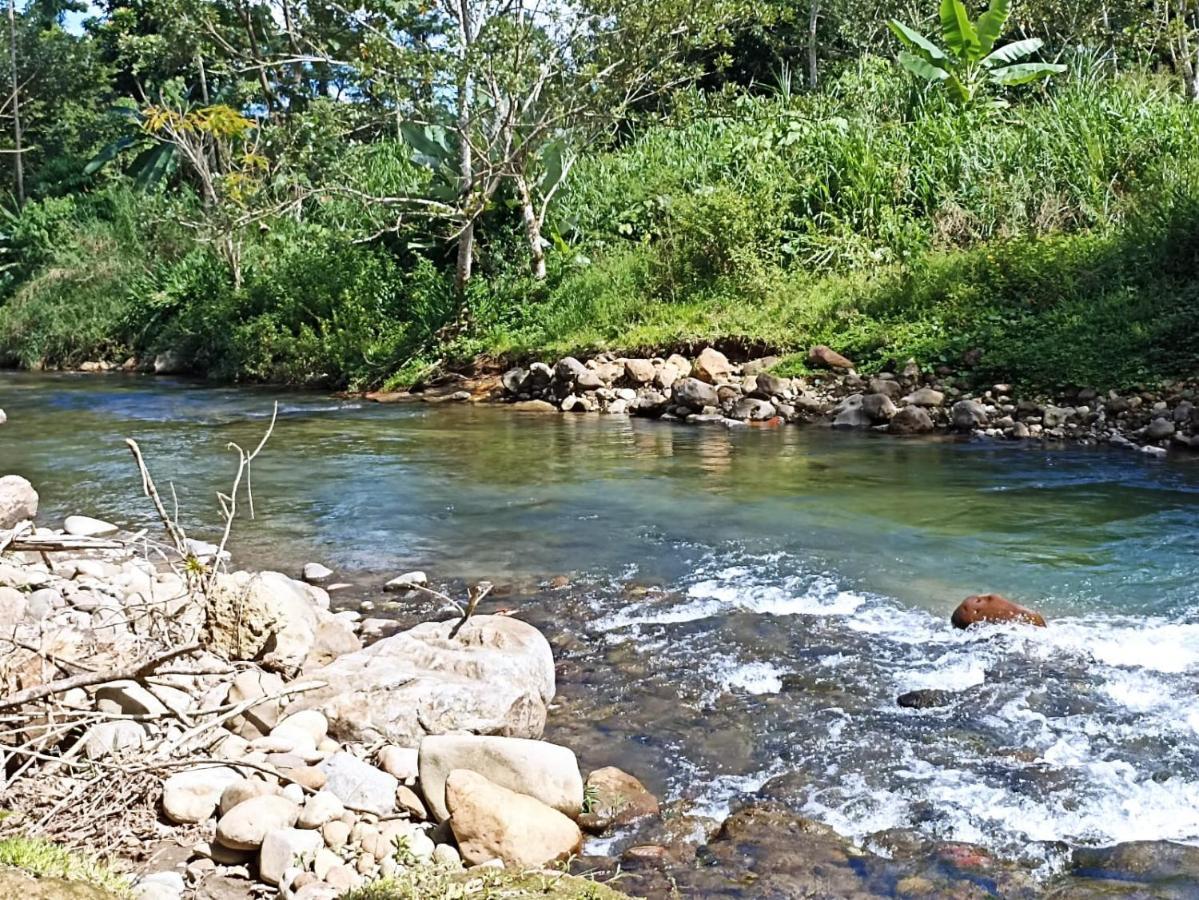 Villa Ceiba La Fortuna Dış mekan fotoğraf