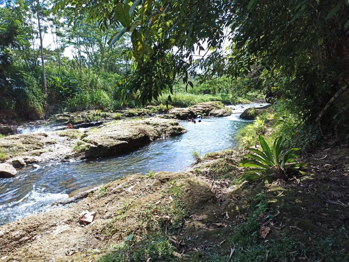 Villa Ceiba La Fortuna Dış mekan fotoğraf