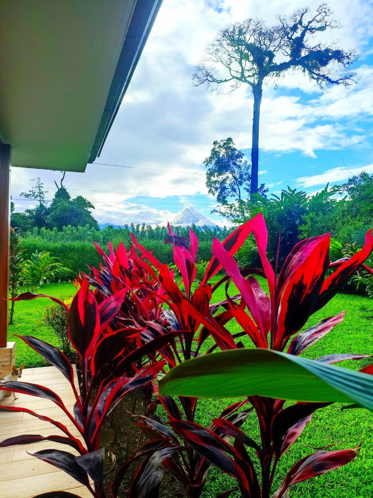 Villa Ceiba La Fortuna Dış mekan fotoğraf