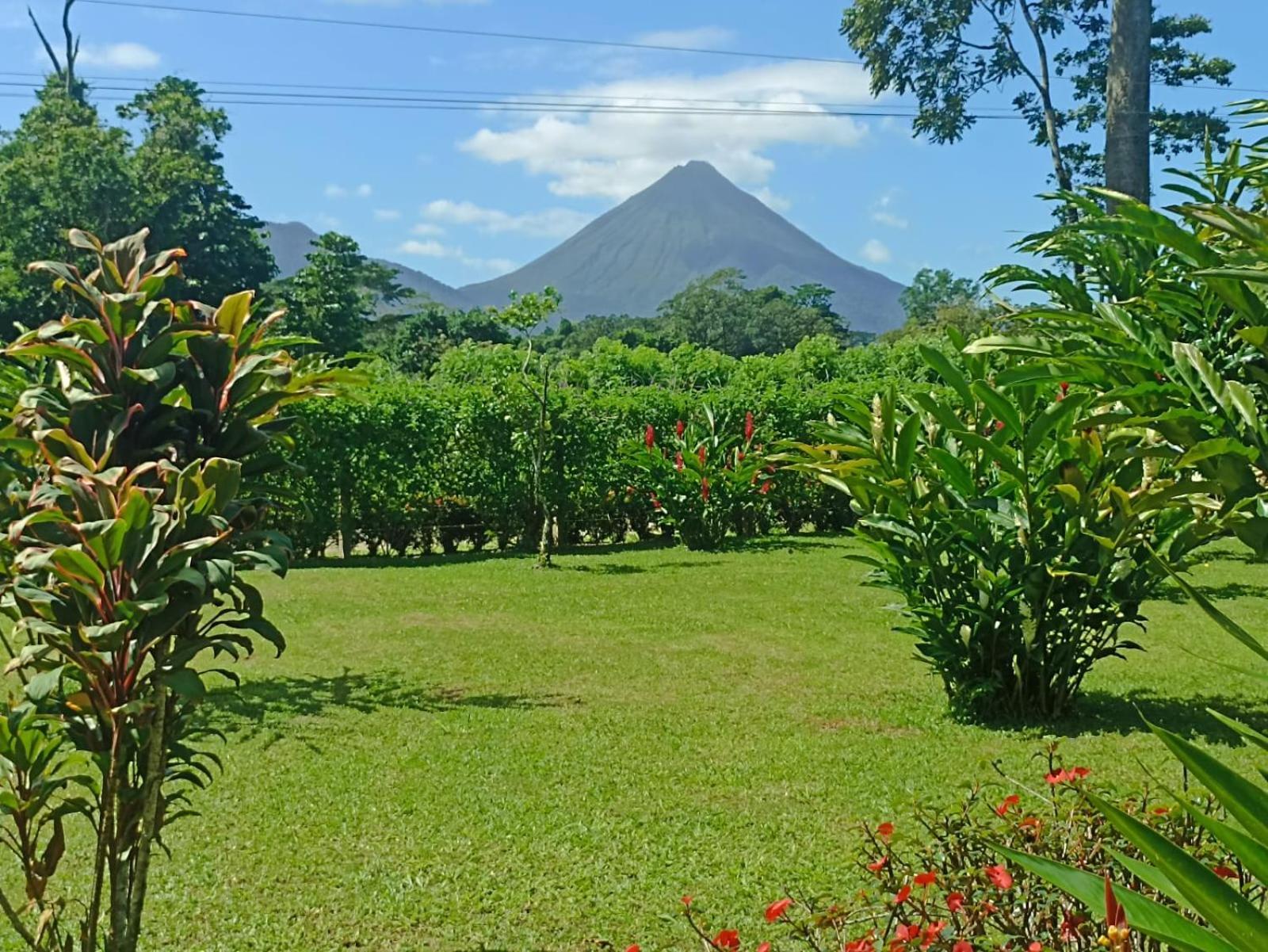 Villa Ceiba La Fortuna Dış mekan fotoğraf
